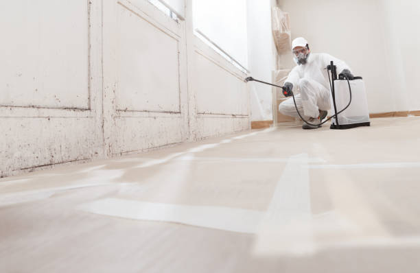 24/7 Emergency Commercial Mold Remediation experts in Ward, CO